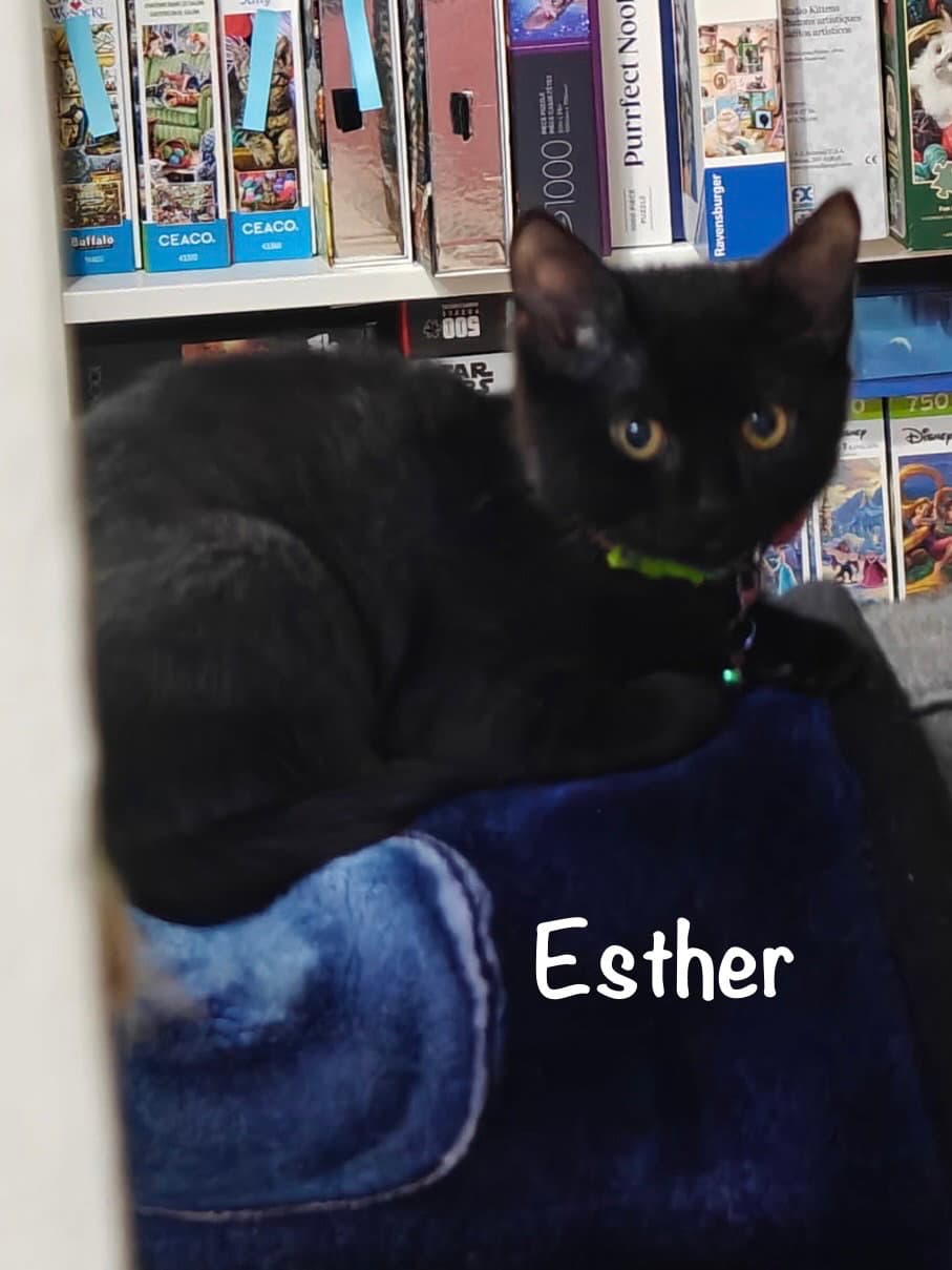 Esther
