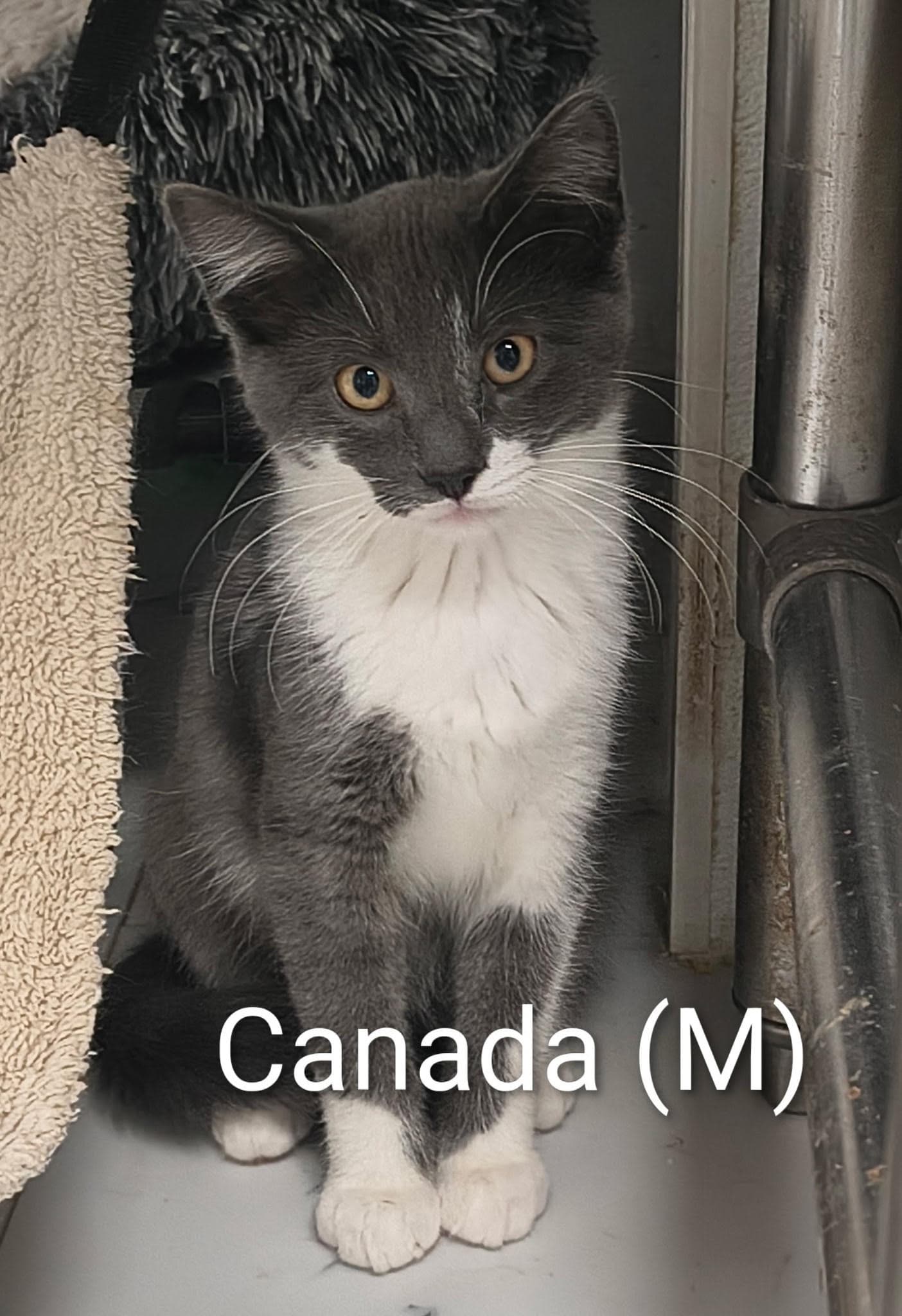 Canada