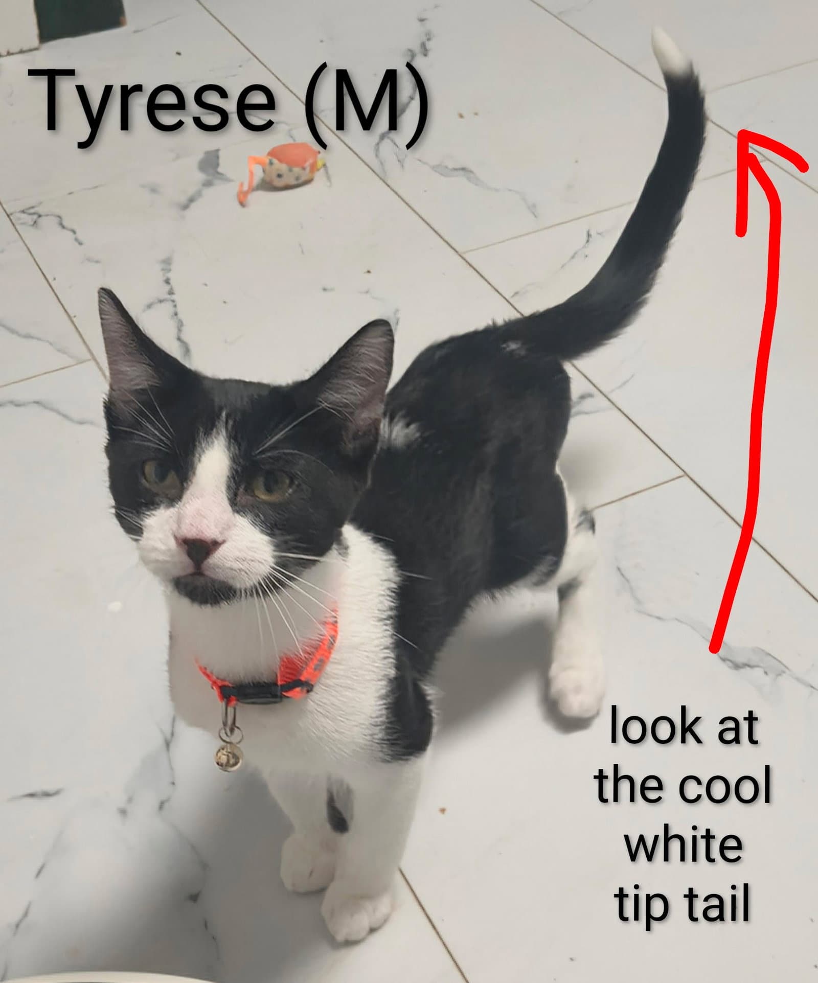 Tyrese