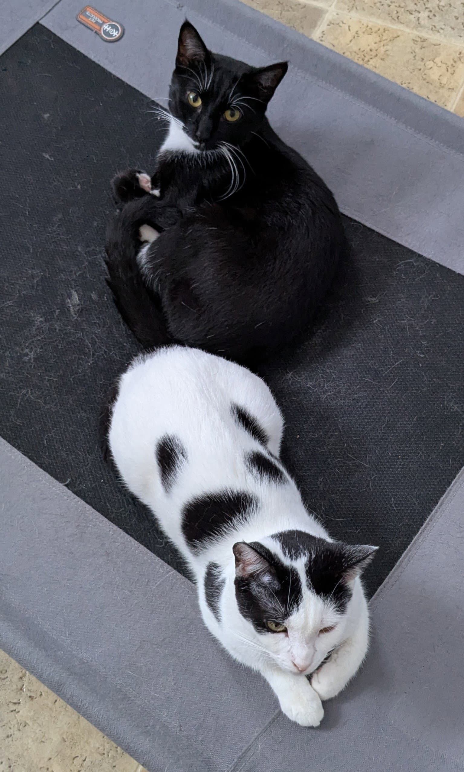 Mother and Son