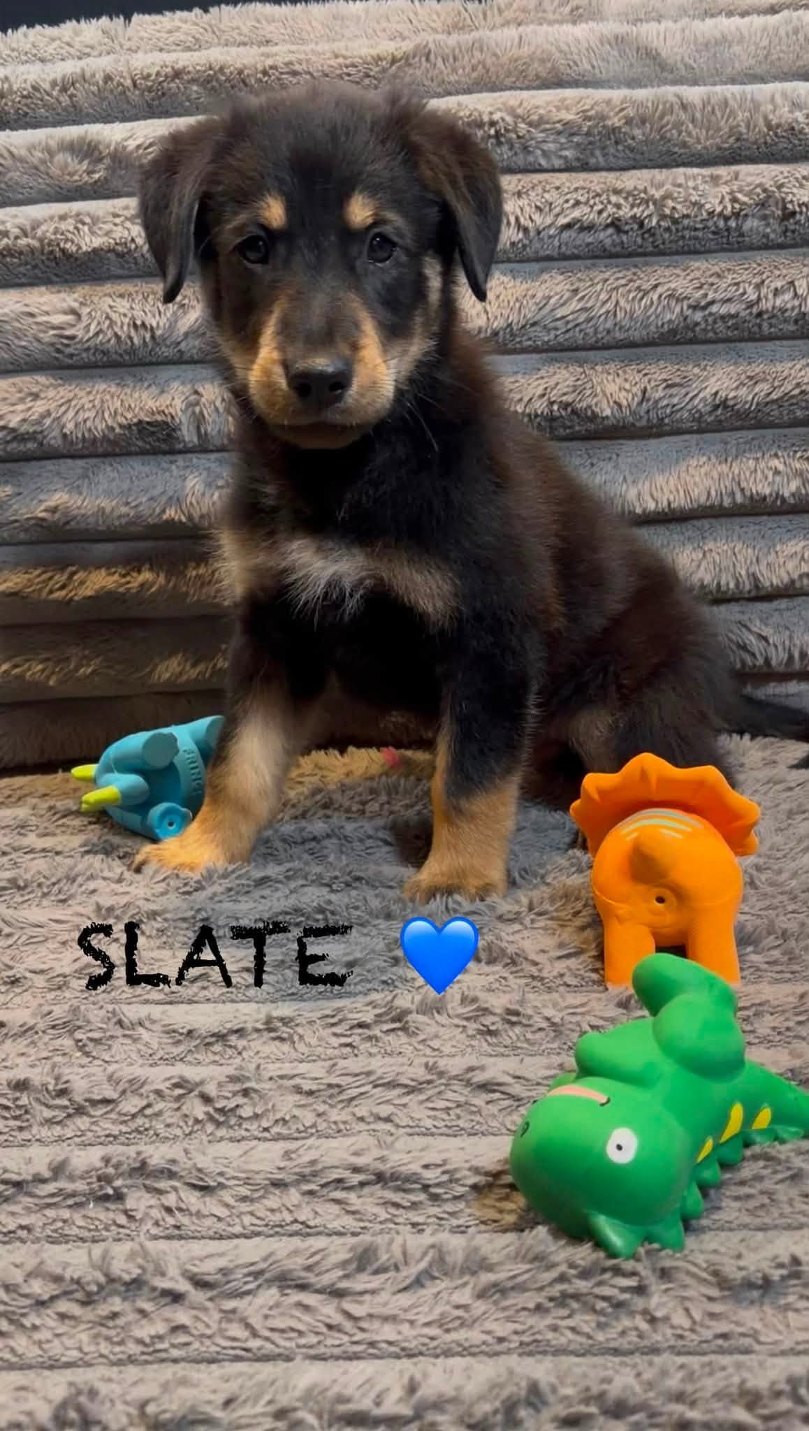 Slate