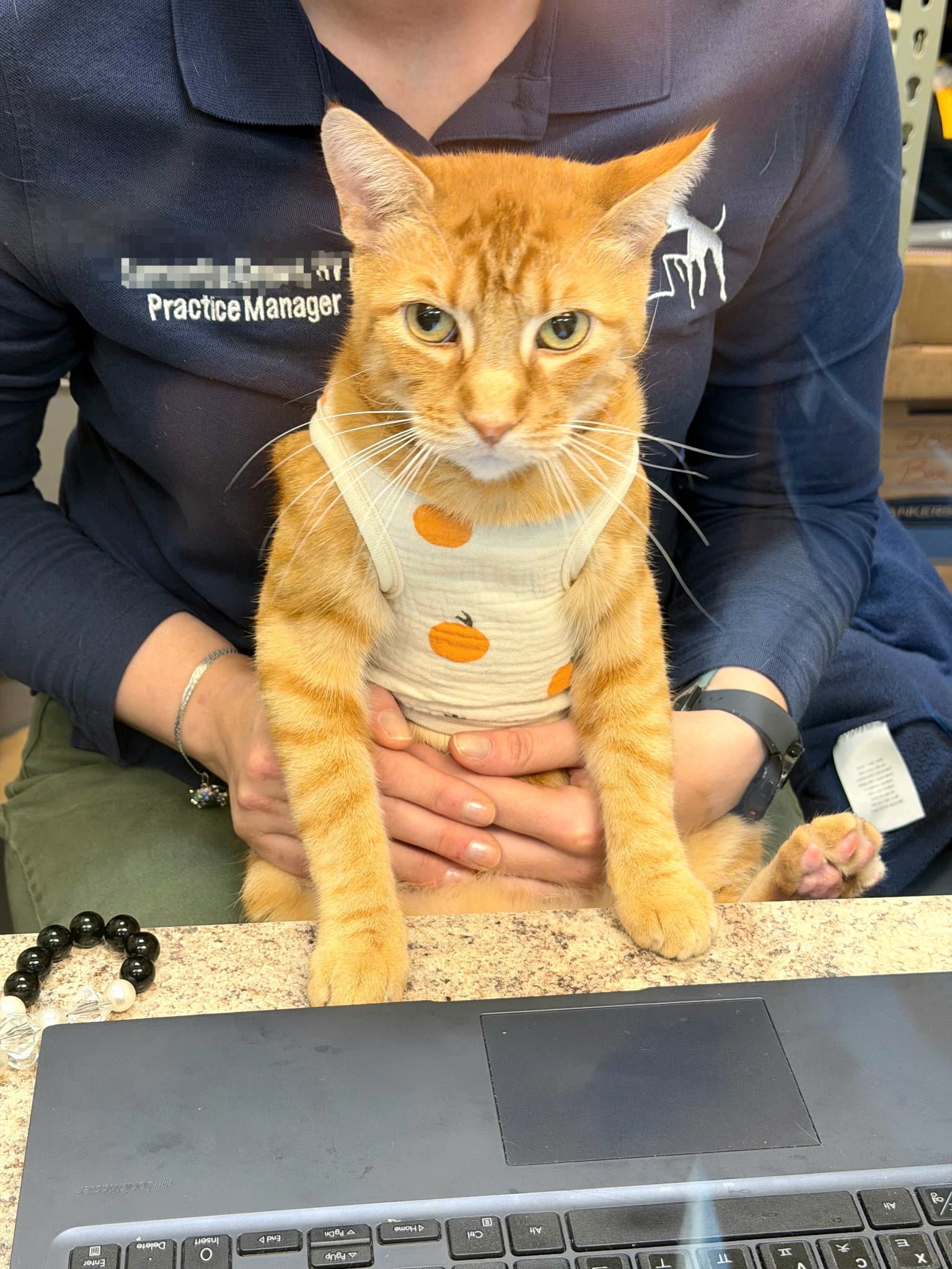 Ignatius