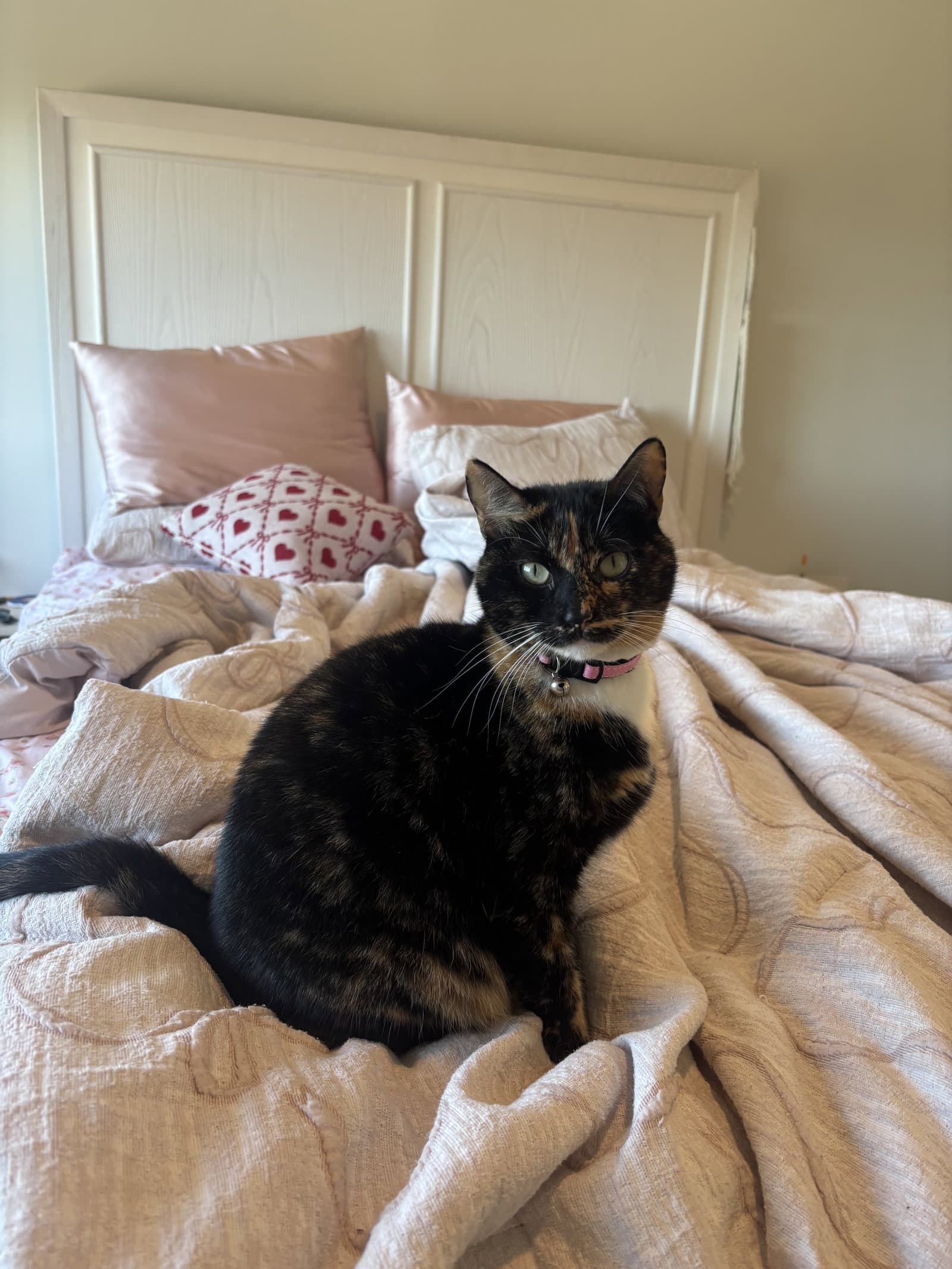 Tootsie