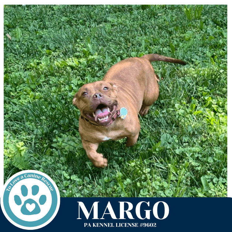 Margo 060626