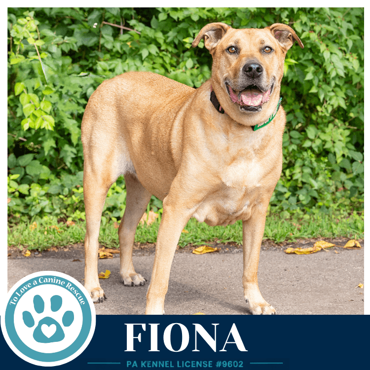 Fiona