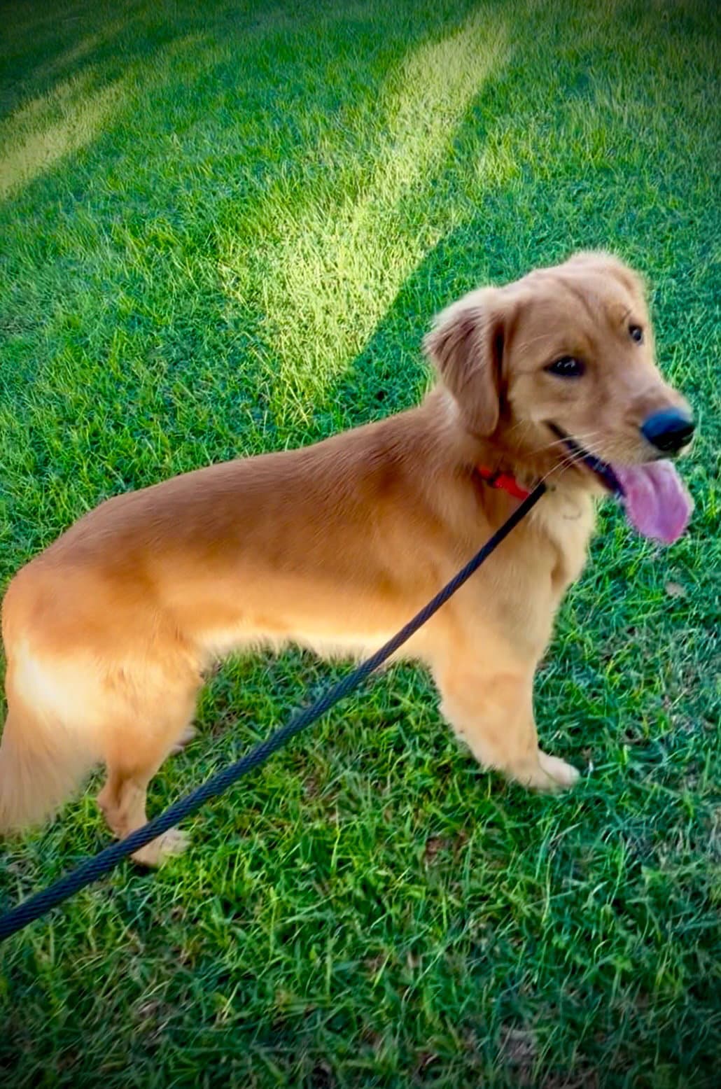 Max