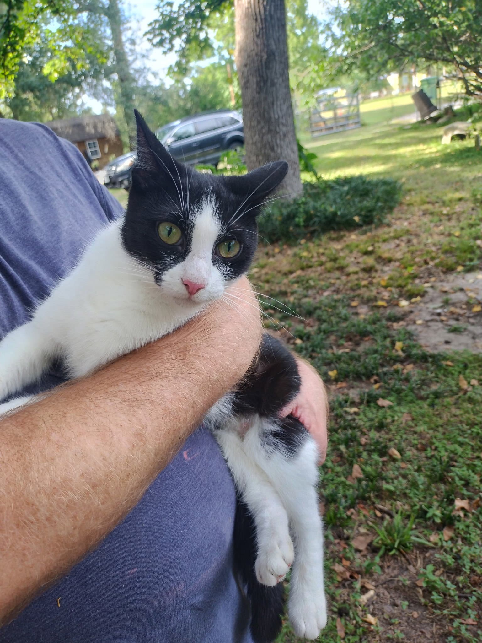 Chloe