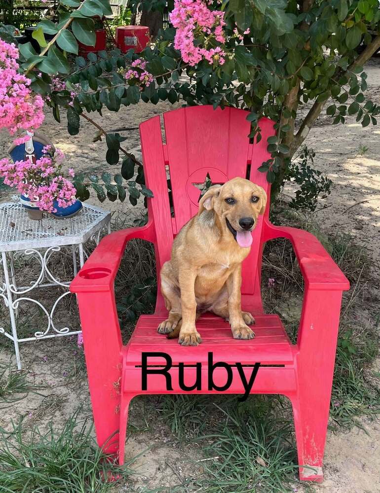 Ruby