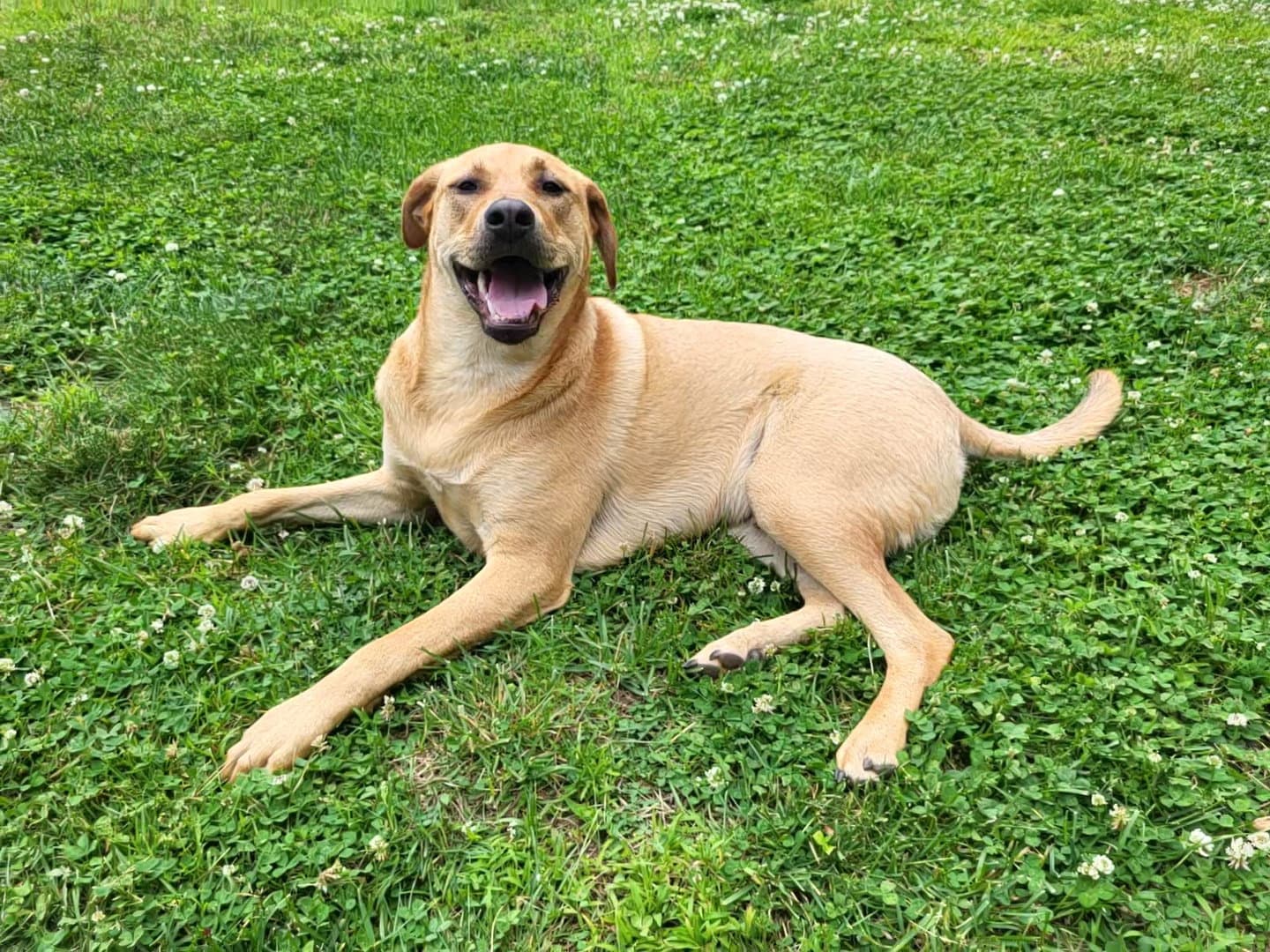 Chevy aka Puddles Wood