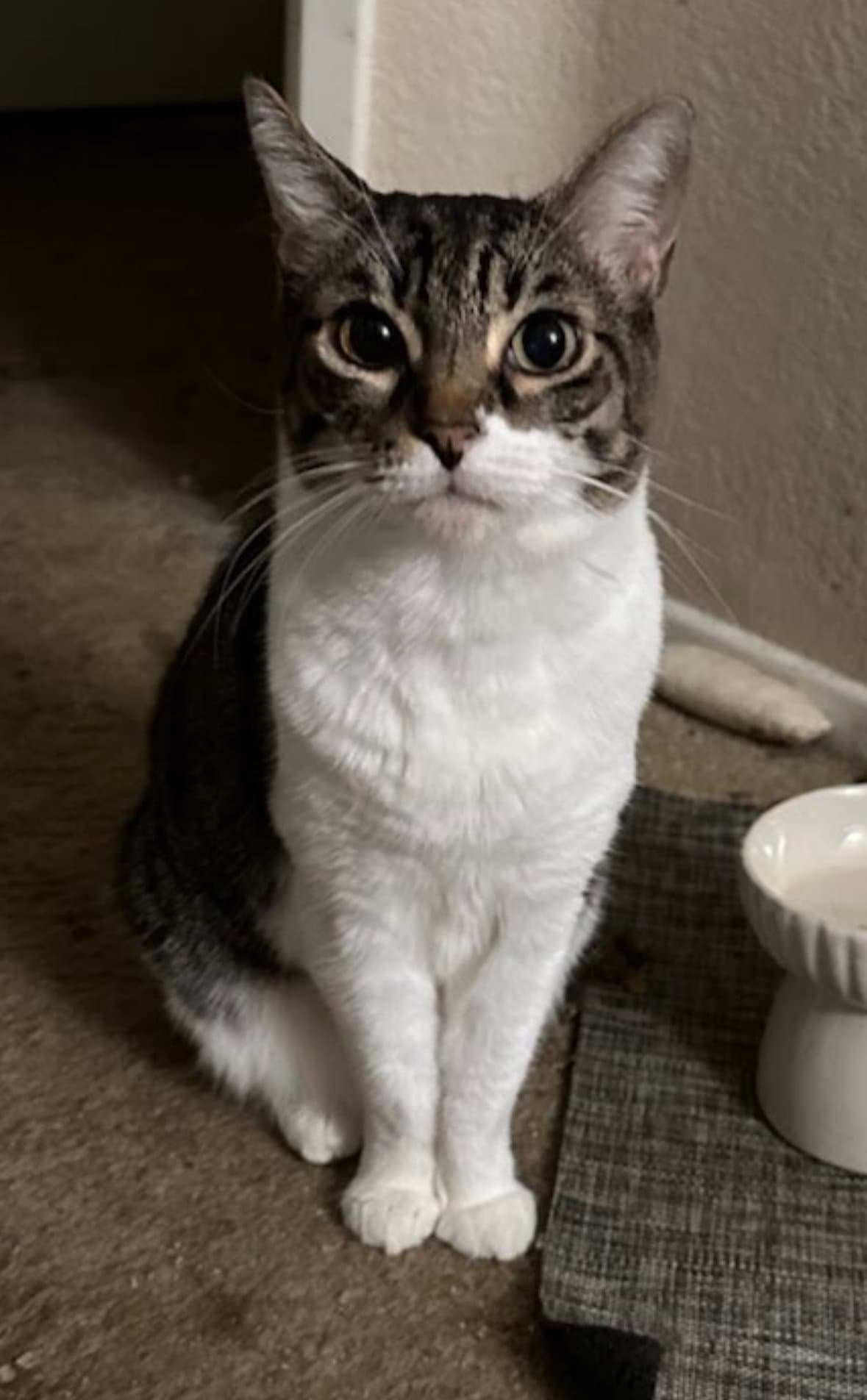 Audrey