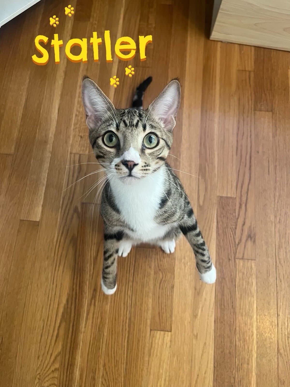 Statler