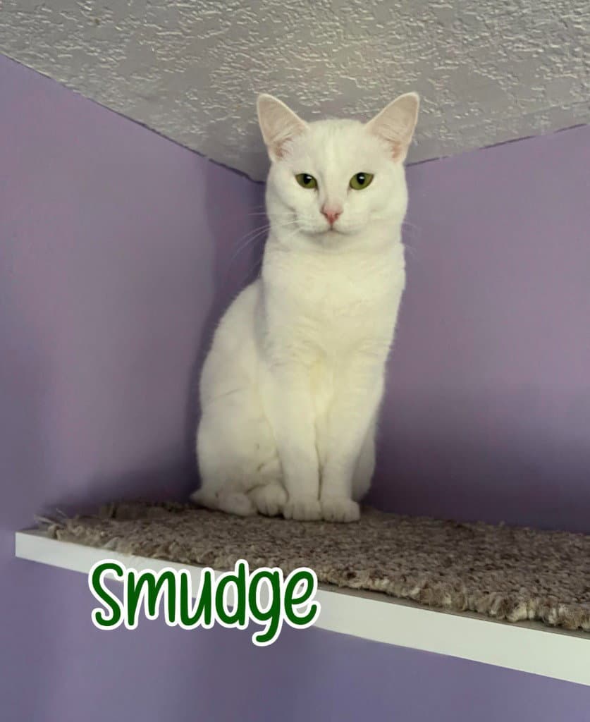 Smudge