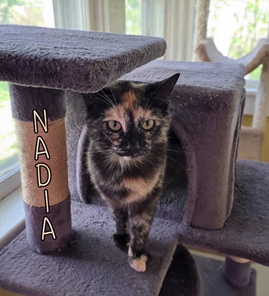 Nadia