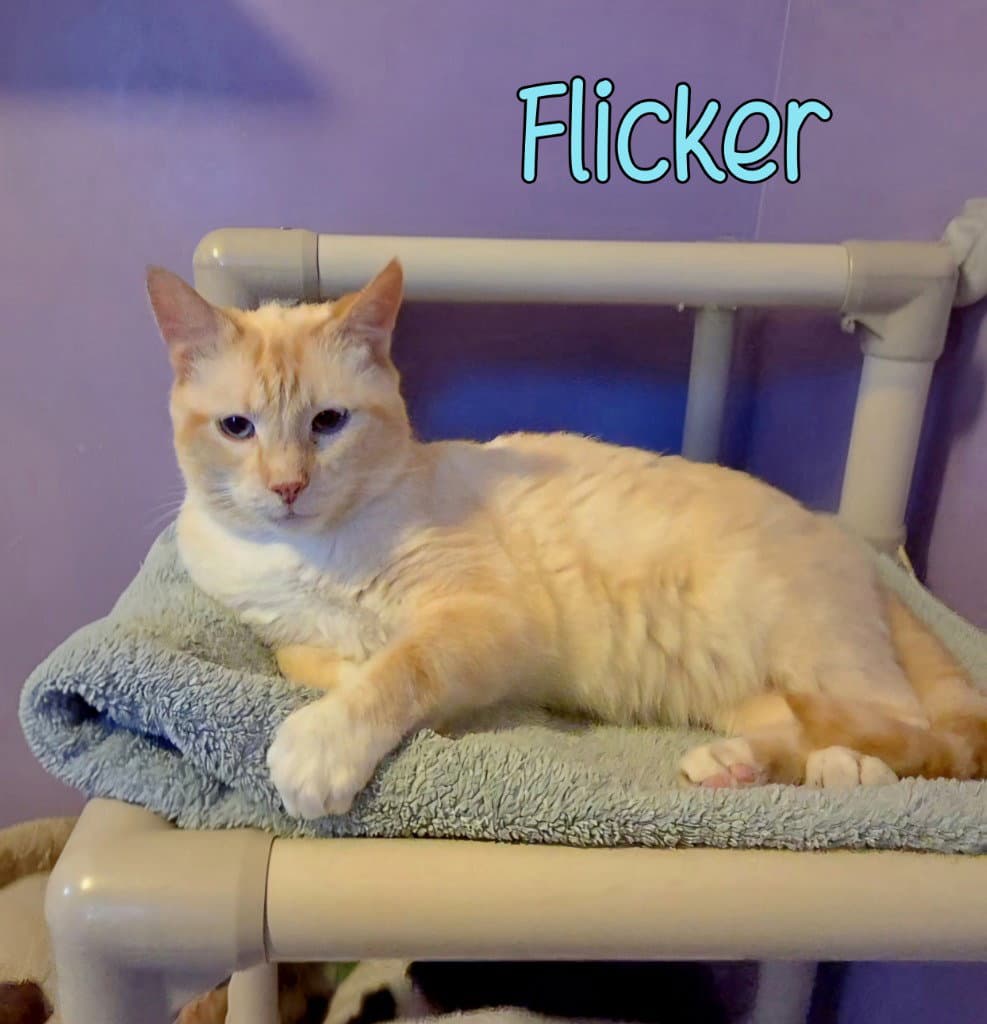Flicker