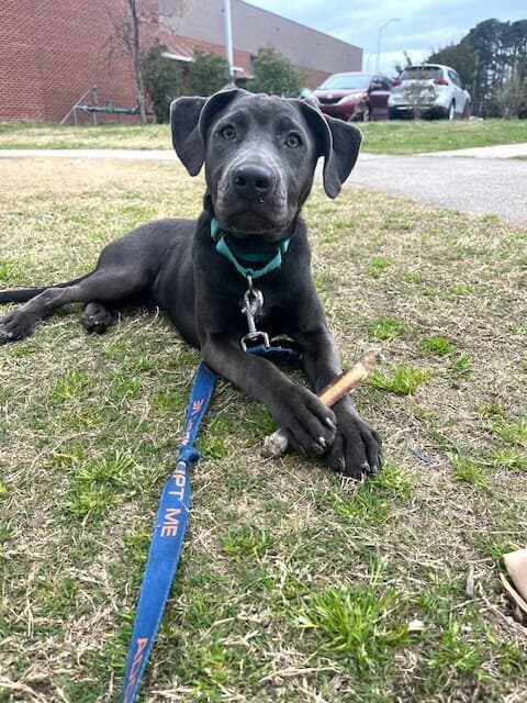 Sammy