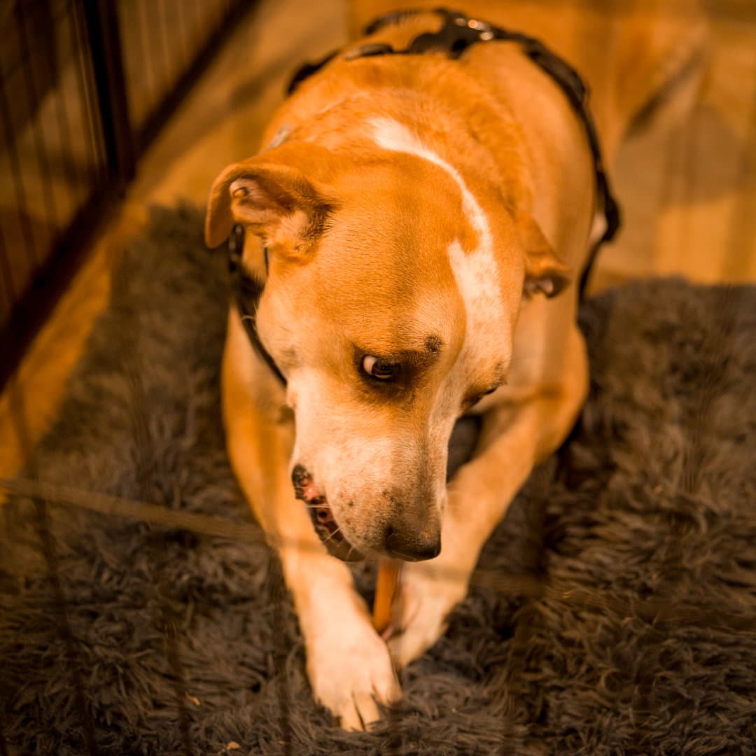 Copper