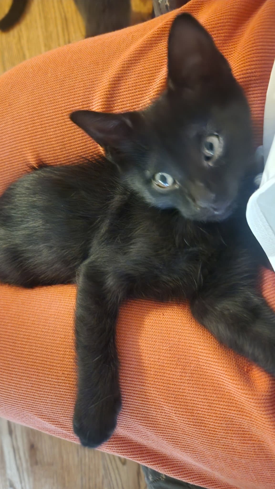 Cinder