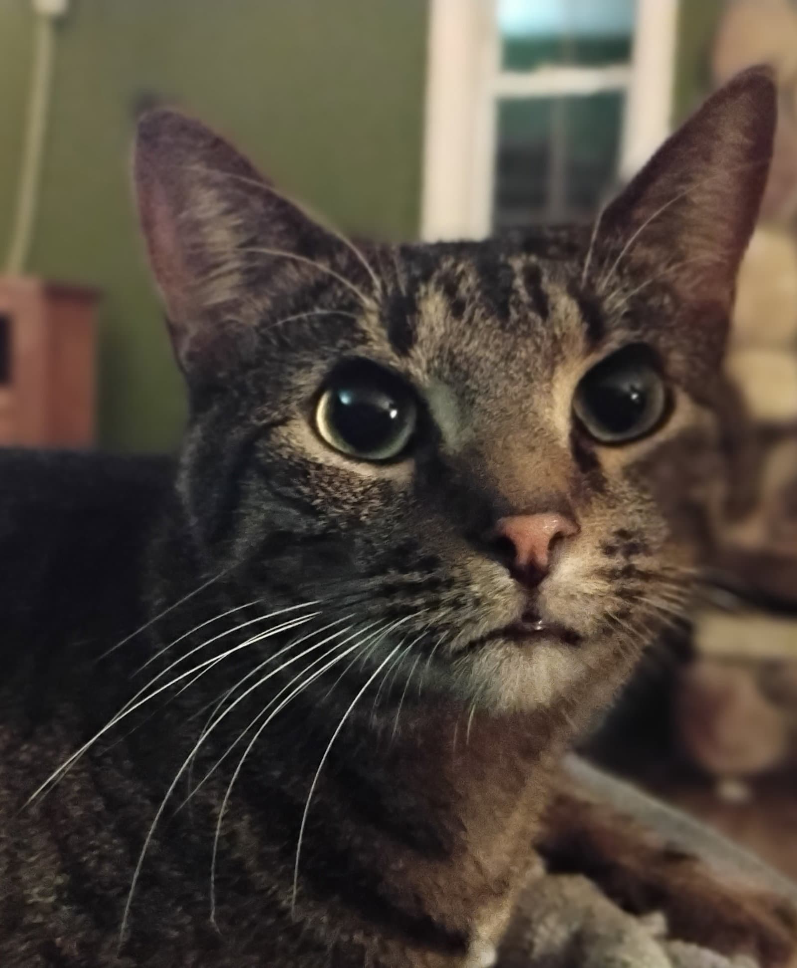 Harvey