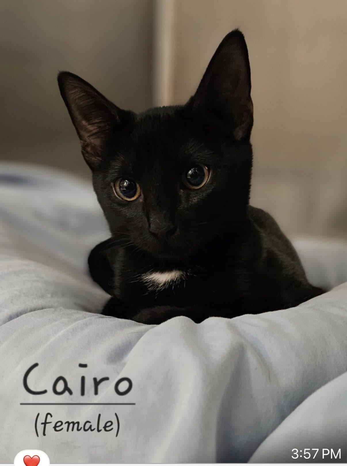Cairo