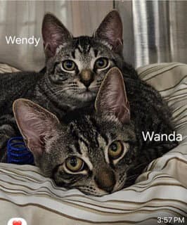 Wanda