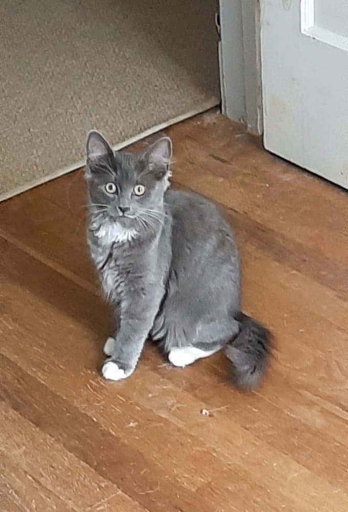 Lilly