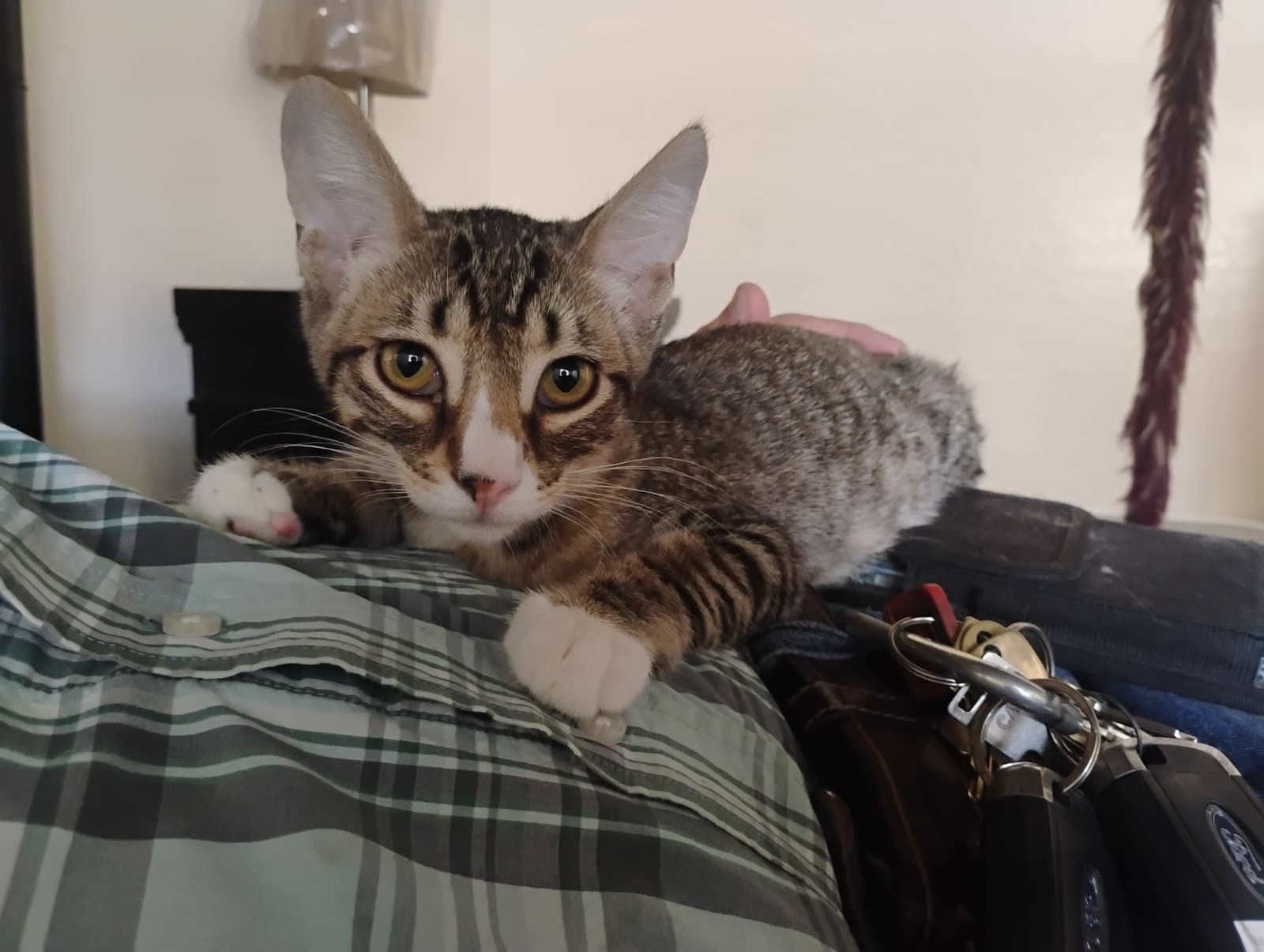 Max