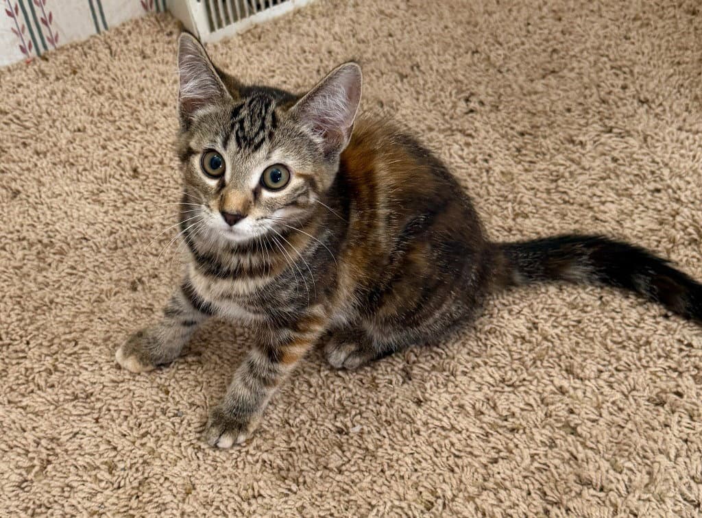 Margo *IN FOSTER*