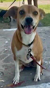 Sally (Foster in PR)