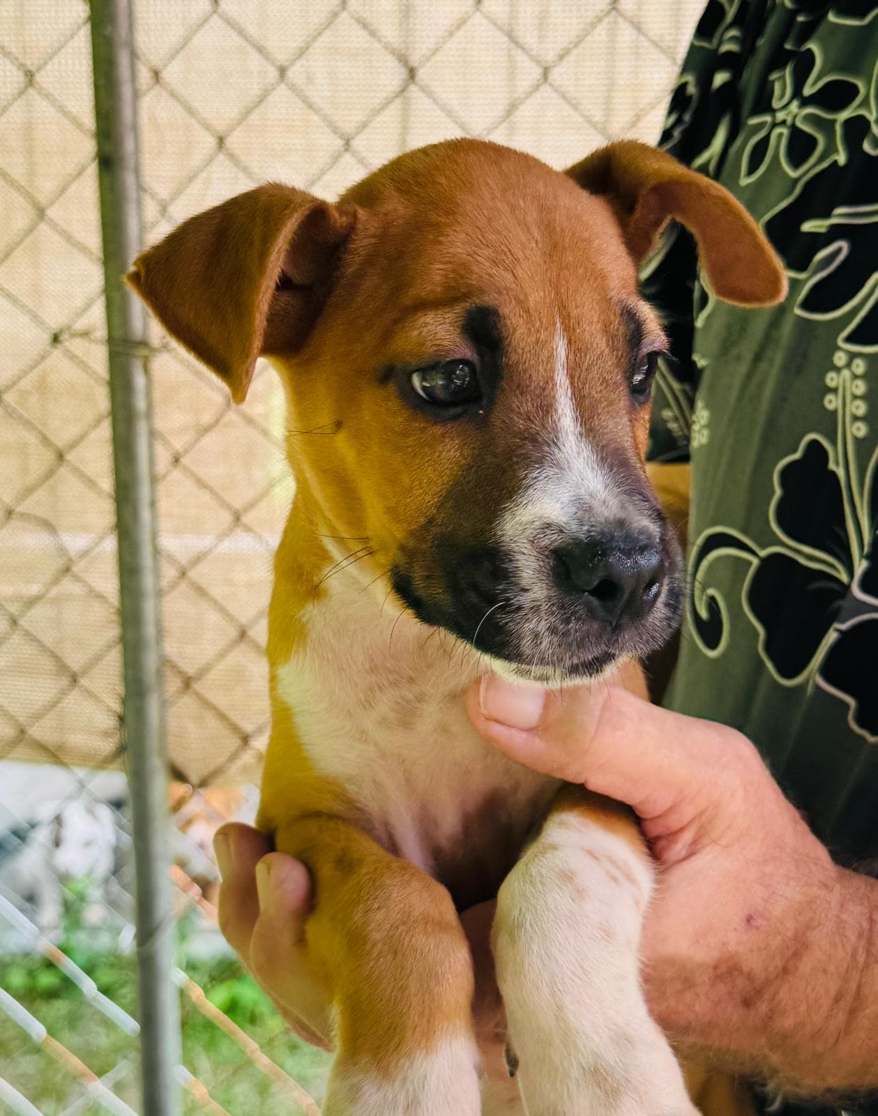 Denzel (Foster in CT)