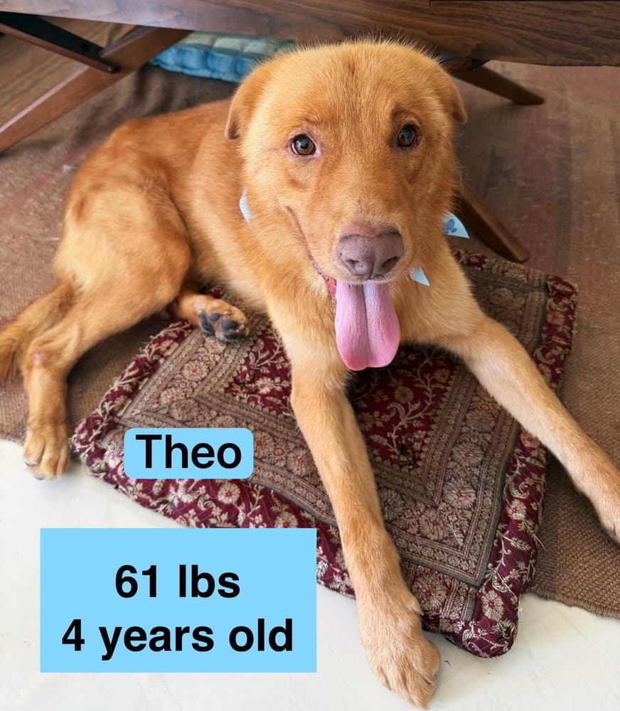 Theo