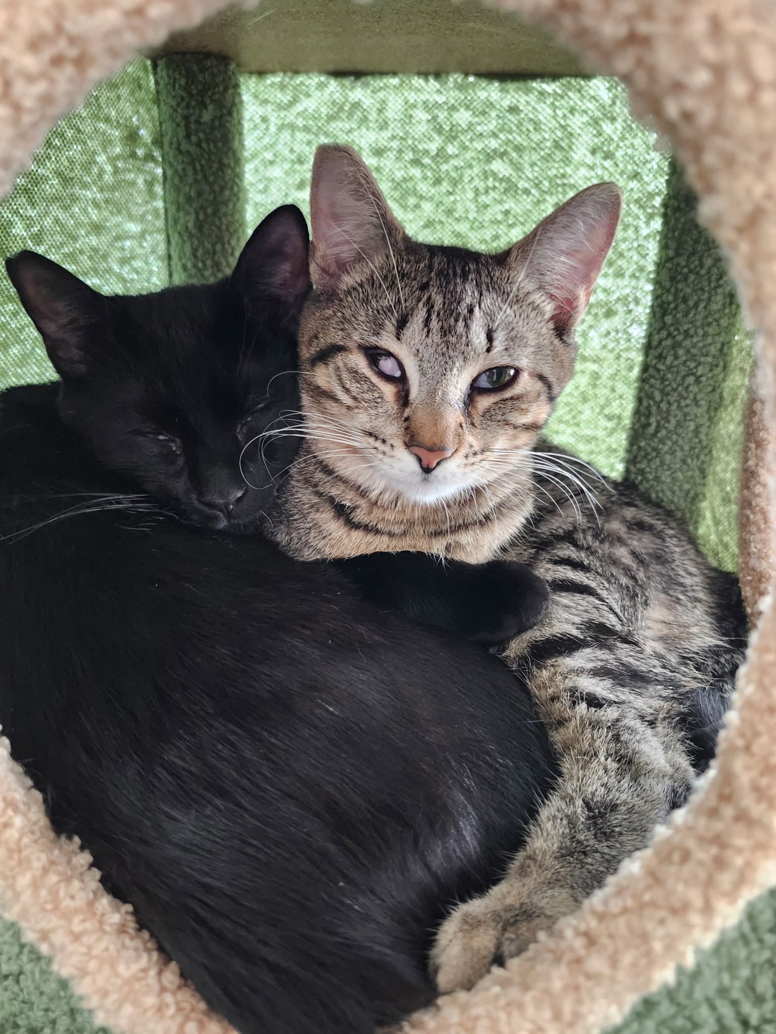 Carter and Tucker