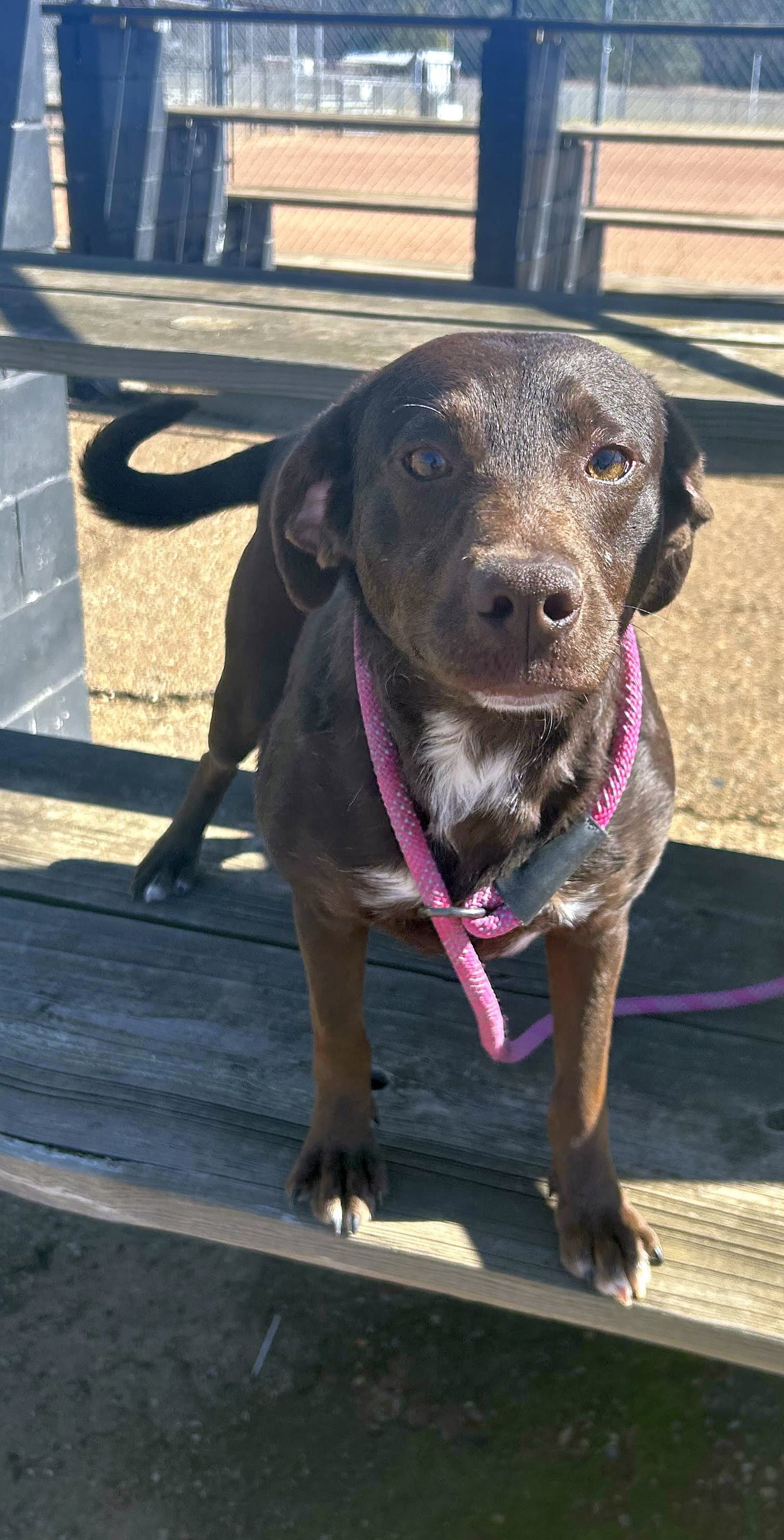Lilah