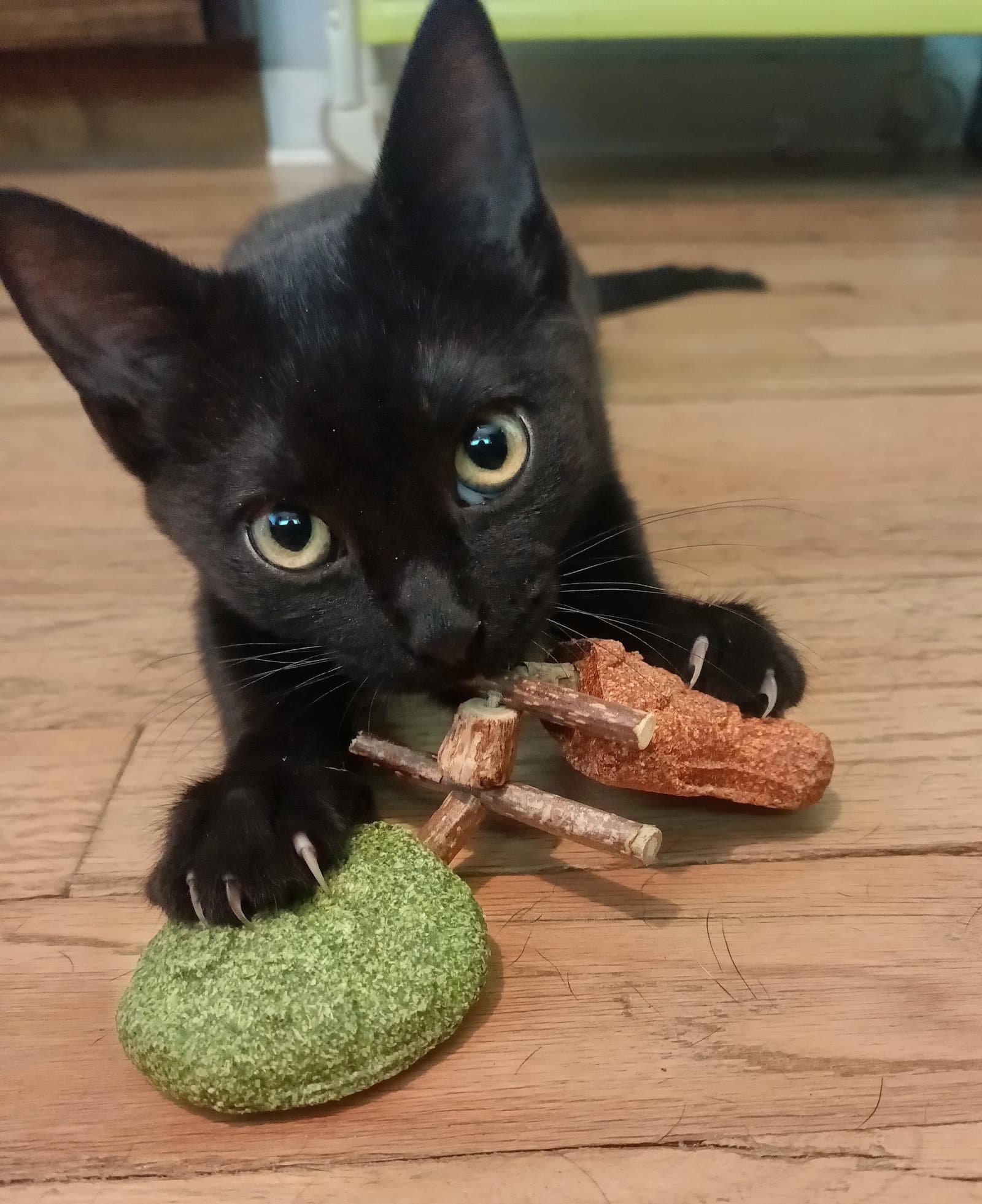 Salem