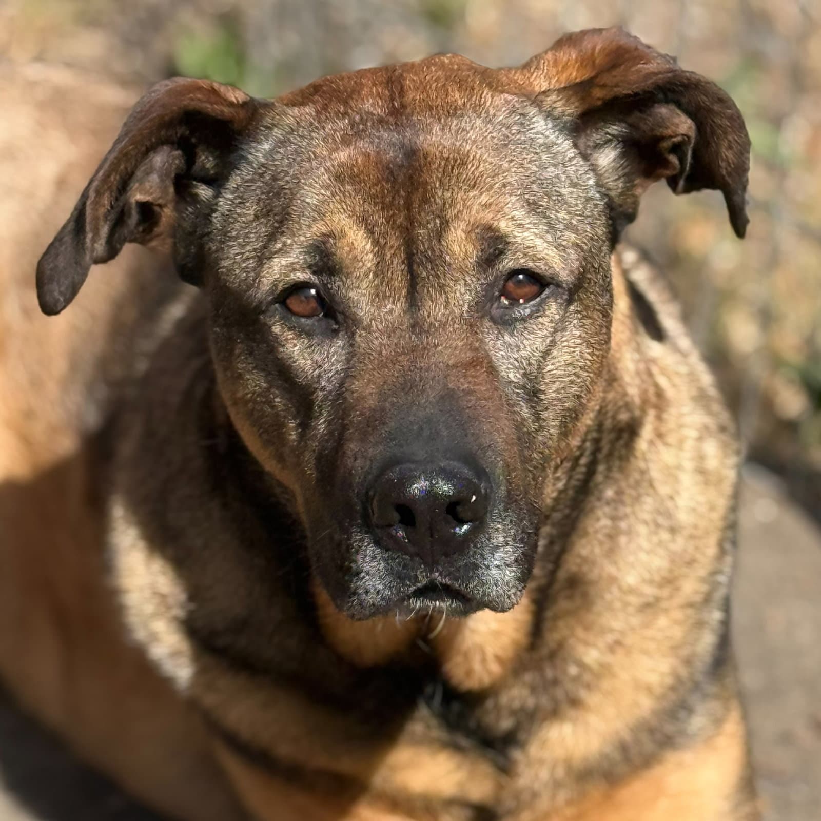 Max
