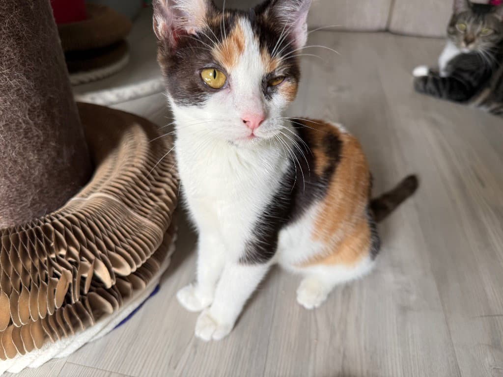 Maria S Katzen