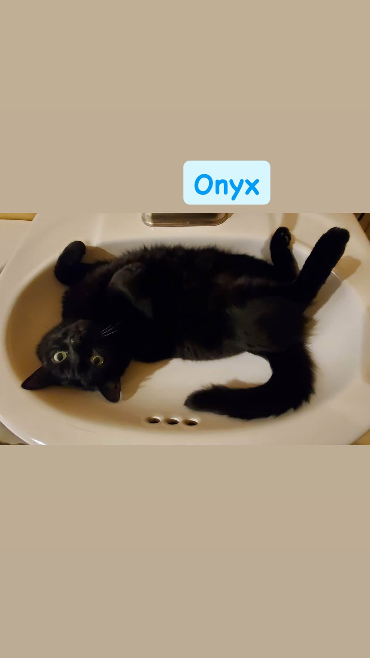 Onyx