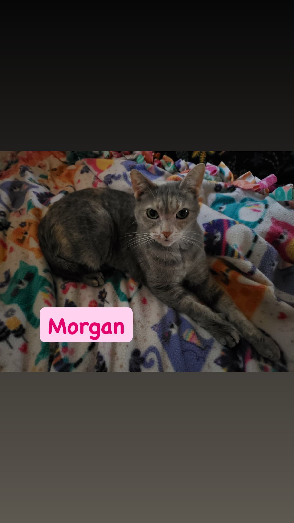 Morgan