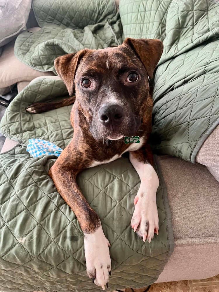 Samson