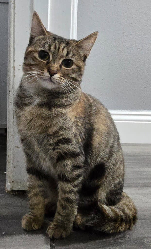 Rosie