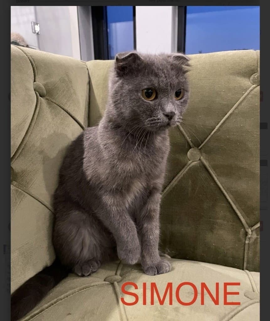 Simone