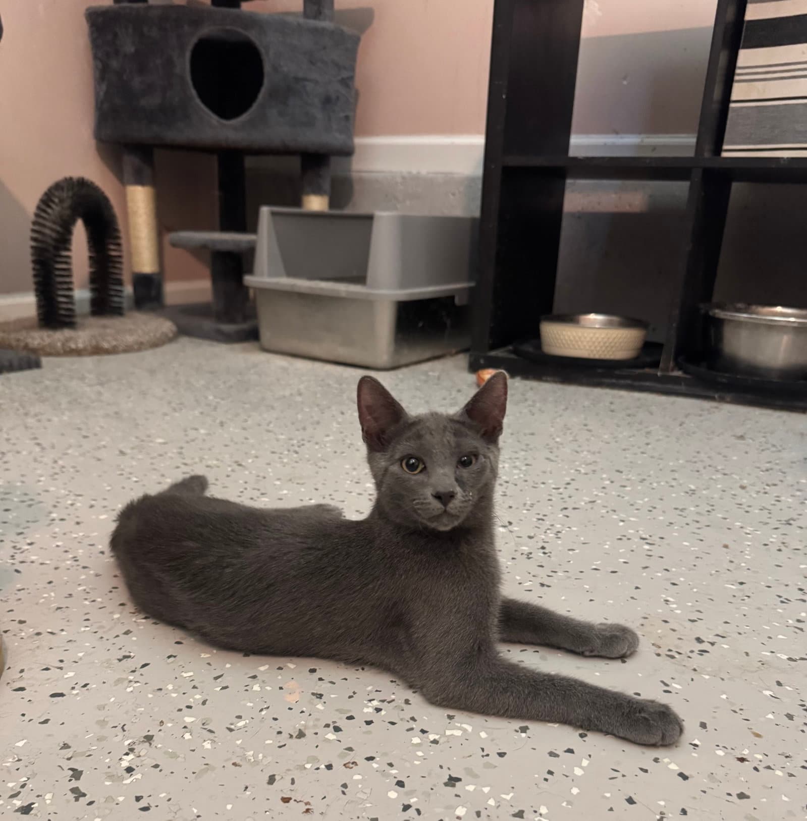 Odin =^.^=