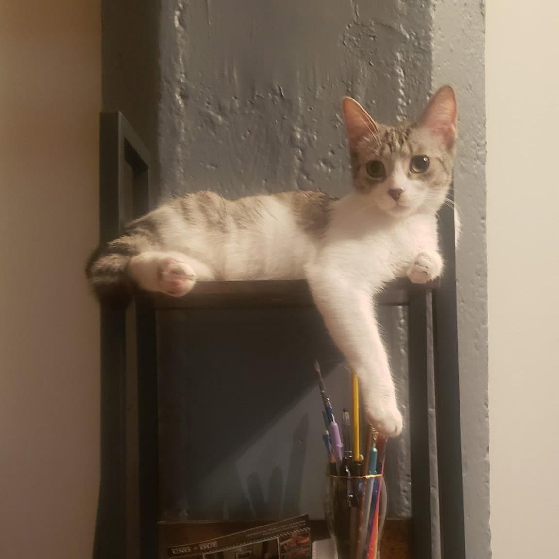 Ricki (bonded with Roy)