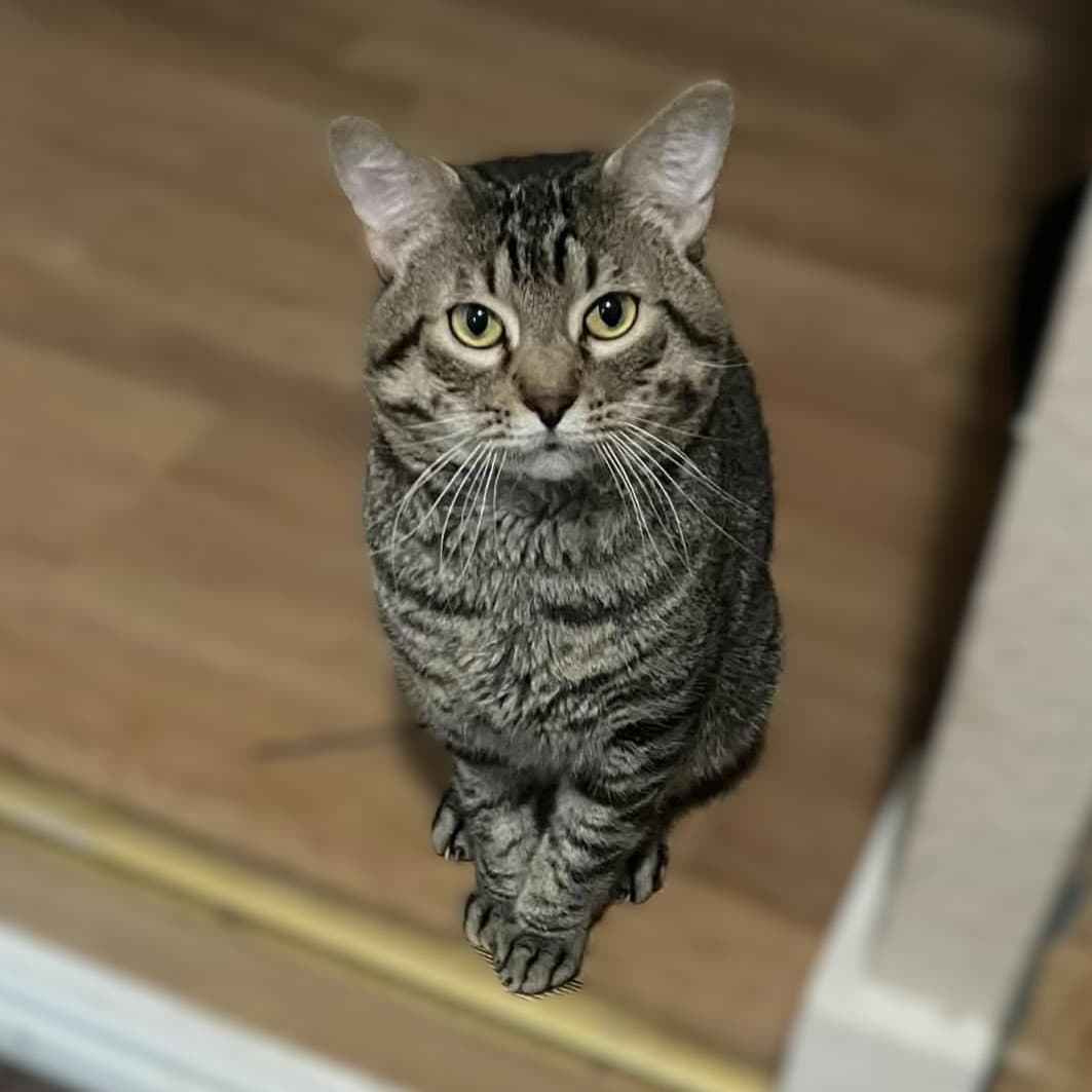Tigger