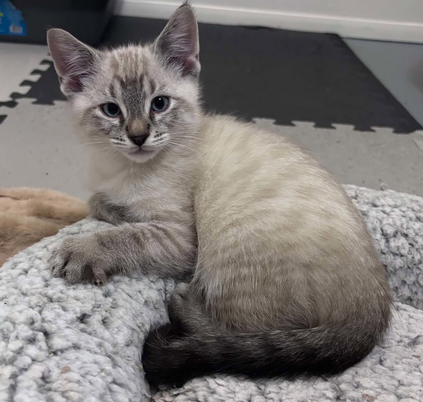 Milo