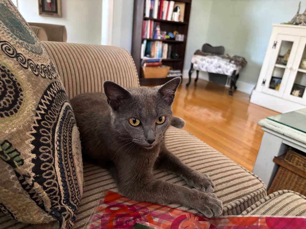 Salem