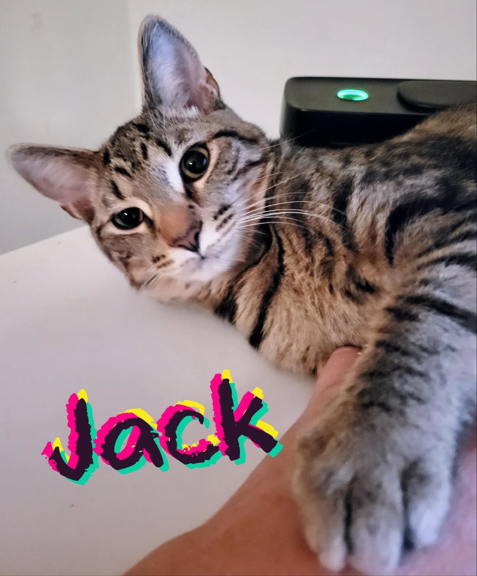 Jack