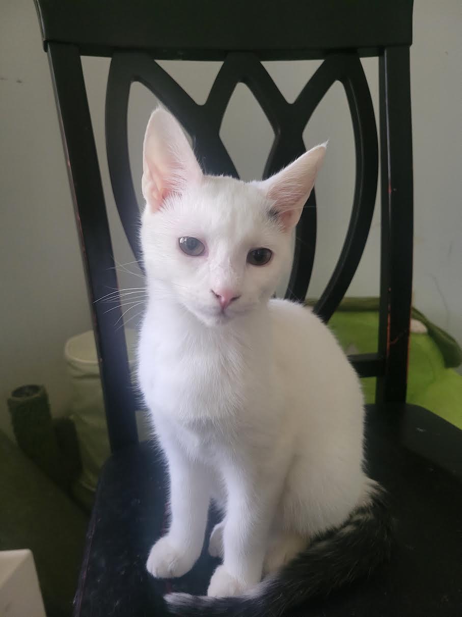 Benny
