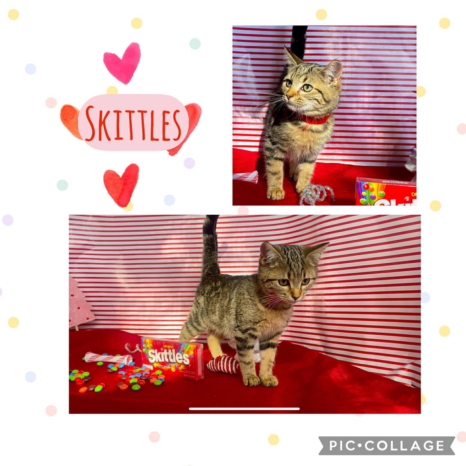 Skittles
