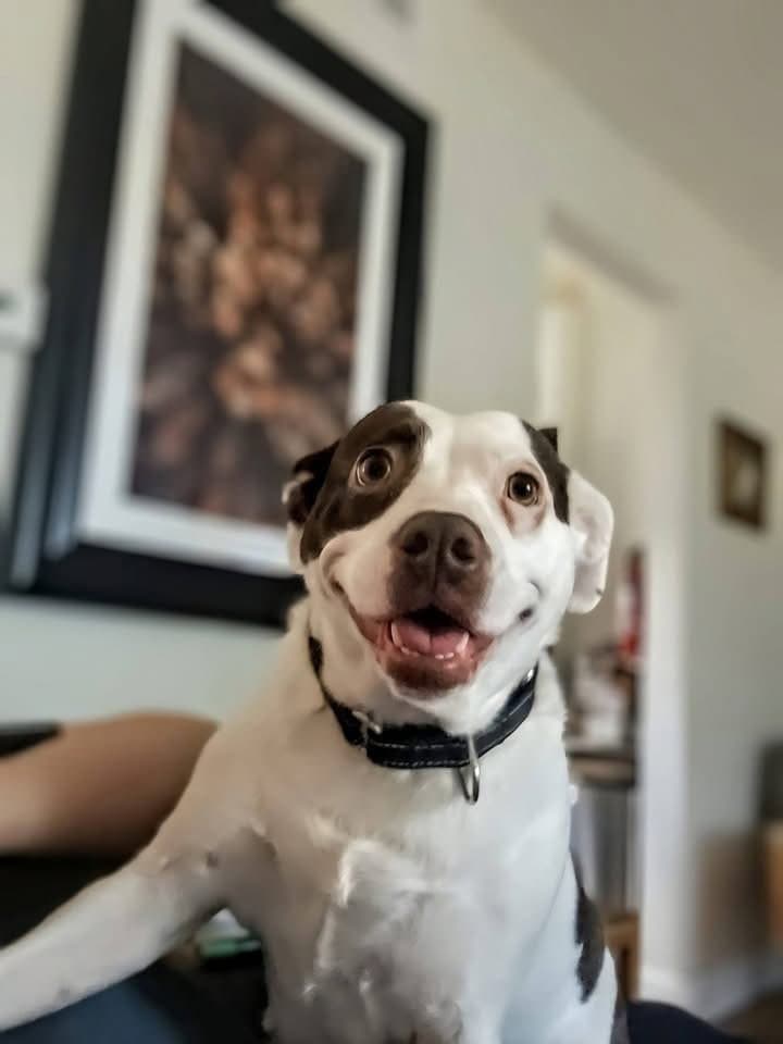 Lily
