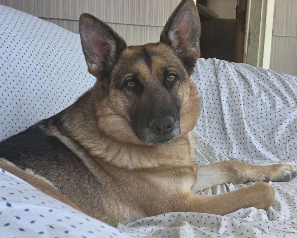 Minnie